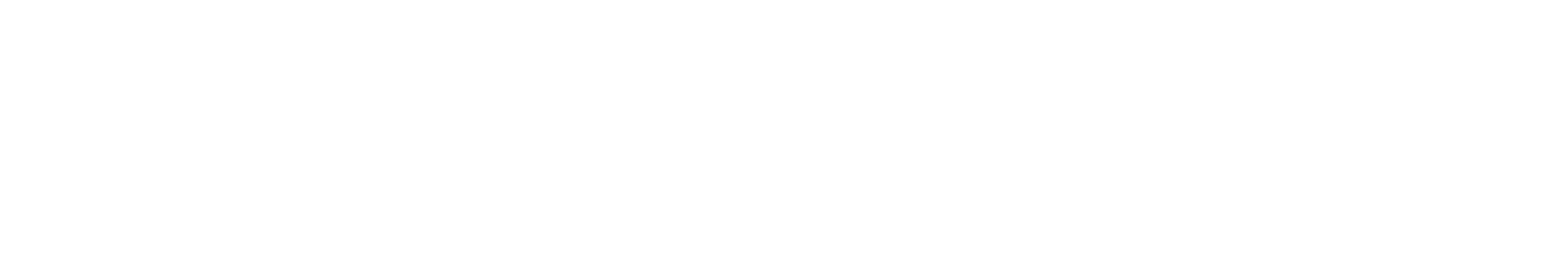 logo orizzontale biancoradicebianca
